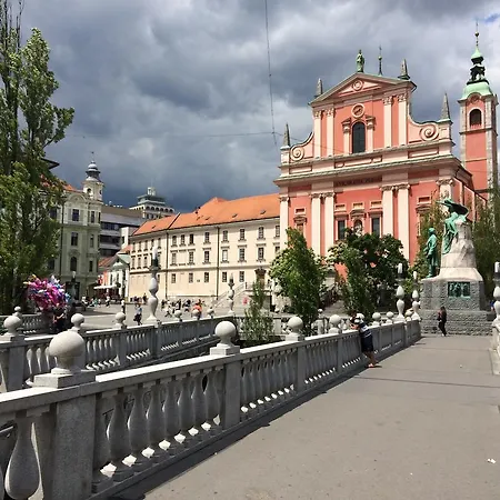 Blue Cat * Ljubljana